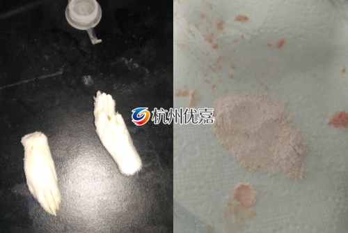 某科技實(shí)驗(yàn)室利用全自動(dòng)冷凍研磨儀研磨動(dòng)物組織