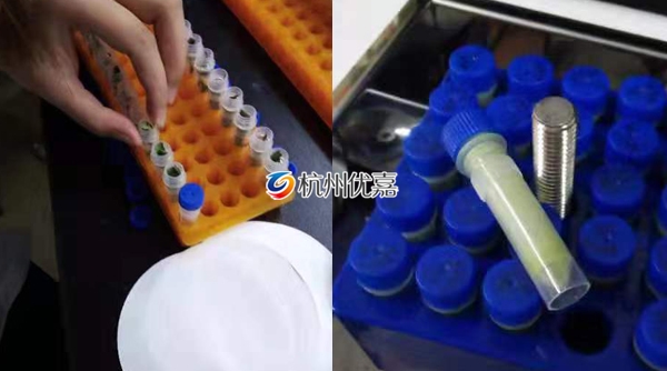 宋慈研磨儀批量研磨植物組織，速度快，重復(fù)性好