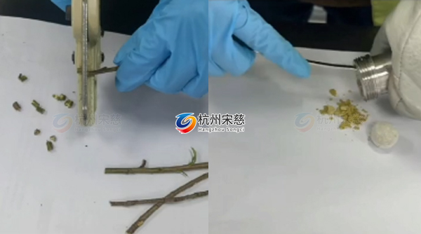 植物組織研磨儀對(duì)樹(shù)枝前處理實(shí)驗(yàn)案例